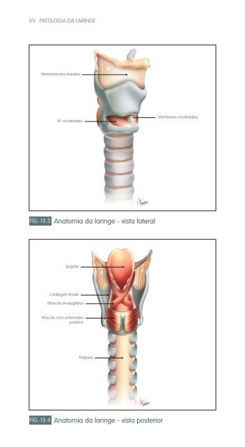 faringe e laringe - Repositório do Hospital Prof. Doutor Fernando ...