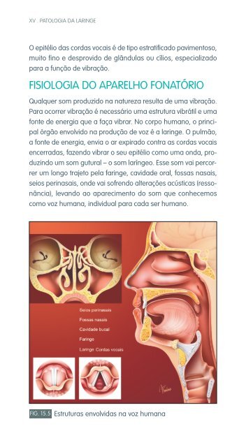 faringe e laringe - Repositório do Hospital Prof. Doutor Fernando ...