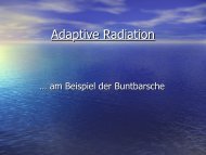 Adaptive Radiation - Zoo Rostock