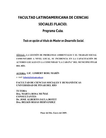 La gestión de problemas ambientales y el trabajo ... - Flacso Andes