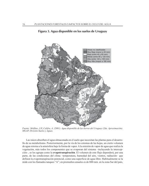 Plantaciones forestales e impactos sobre el ciclo del agua. Un ...
