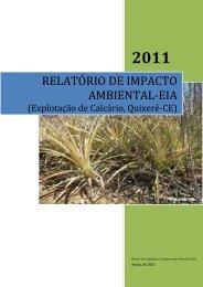 ESTUDO DE IMPACTO AMBIENTAL-EIA - Semace