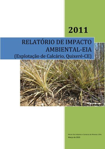 ESTUDO DE IMPACTO AMBIENTAL-EIA - Semace