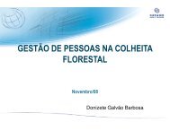 gestão de pessoas na colheita florestal - Colheita de Madeira