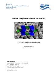 Lithium – begehrter Rohstoff der Zukunft - ZSW