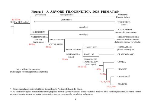 Estudo comparativo entre Humanos e outros Primatas