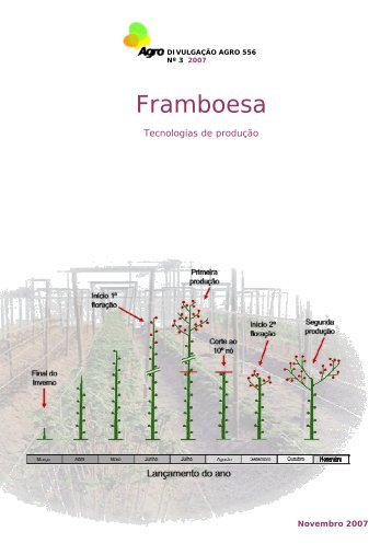 Framboesa - Tecnologias de Produção - INRB