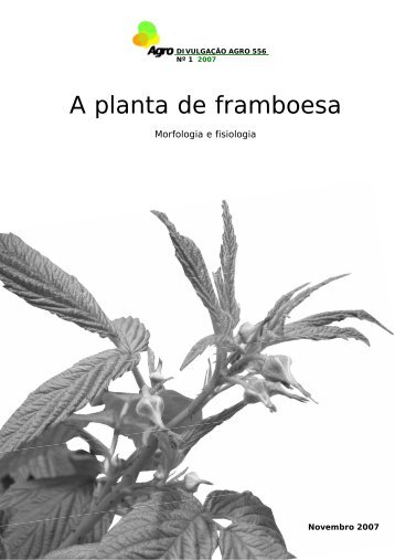 A planta de framboesa - INRB