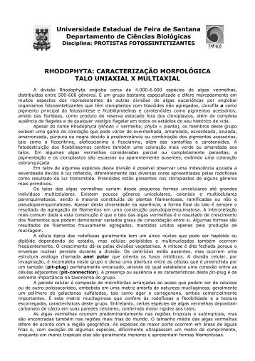 Rhodophyta 1: diversidade morfológica - Universidade Estadual de ...