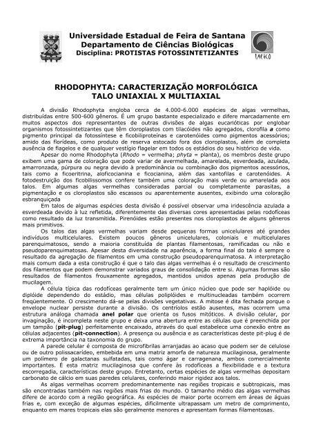 Rhodophyta 1: diversidade morfológica - Universidade Estadual de ...