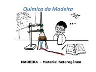 MADEIRA : UM MATERIAL HETEROGÊNEO