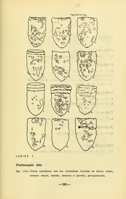 Boletin de la Sociedad de Biología de Concepción