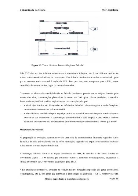 Fisiologia do sistema reprodutor feminino - UFF