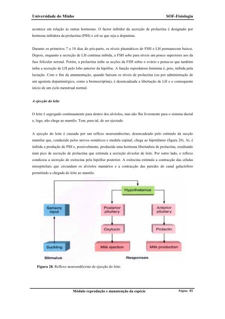 Fisiologia do sistema reprodutor feminino - UFF