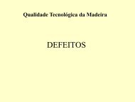 DEFEITOS