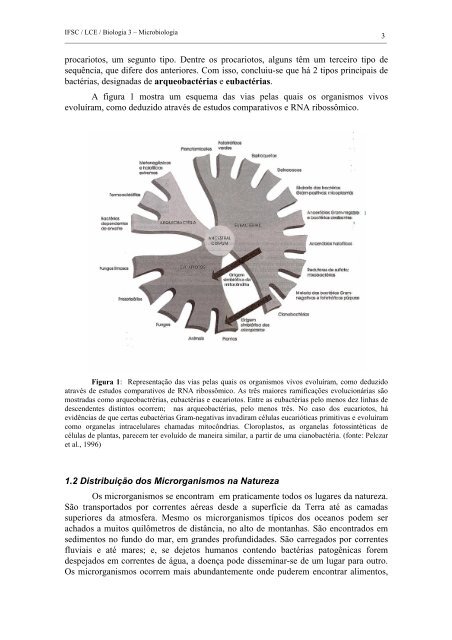 INTRODUÇÃO À MICROBIOLOGIA - Laboratório de Biologia - IFSC