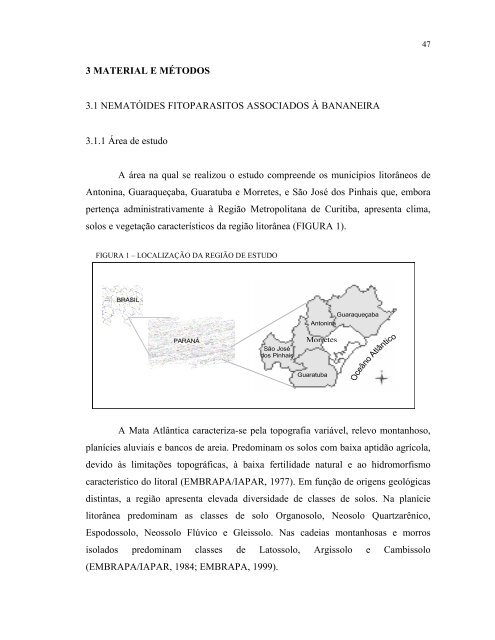 identificação e manejo de nematóides da bananeira - Universidade ...