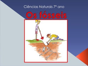 Os fósseis e a História da Terra - Portefolionaturas.net
