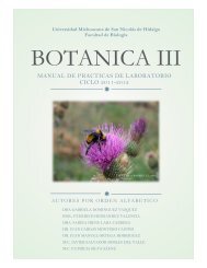 manual practicas botanica iii - Facultad de Biología - Universidad ...