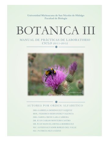 manual practicas botanica iii - Facultad de Biología - Universidad ...