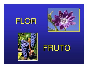 Flor-fruto