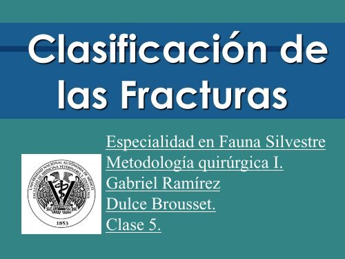 Clasificación de Fracturas