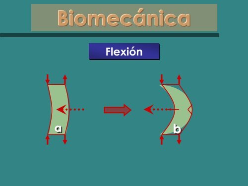 Clasificación de Fracturas