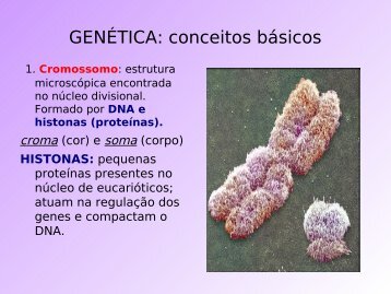 GENÉTICA: conceitos básicos