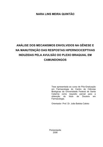 nara lins meira quintão análise dos mecanismos envolvidos na ...