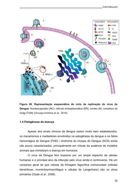 ESTUDO DOS MECANISMOS ENVOLVIDOS NAS ALTERAÇÕES ...