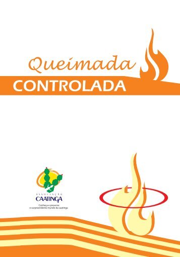 CARTILHA QUEIMADAS - PARA LEITURA - Terra Brasilis