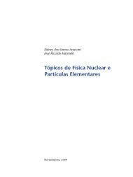 Tópicos de Física Nuclear e Partículas Elementares - EAD