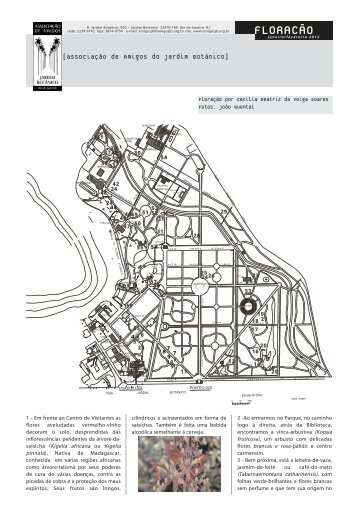 Floração-janeiro 2012.qxp - Jardim Botânico do Rio de Janeiro