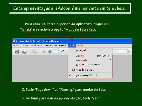 Honoráveis Terroristas. - Sua Alteza o Gato