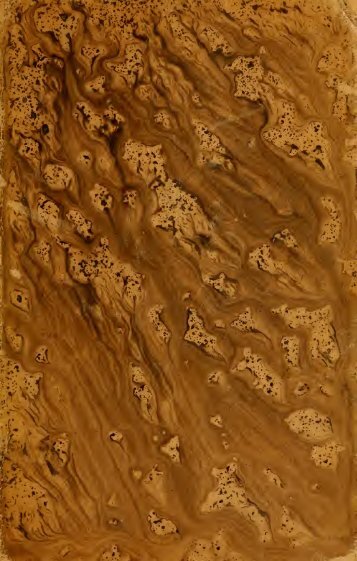 Ruiz Montoya en Indias (1608-1652) - Libr@rsi