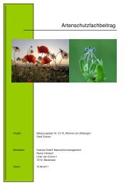Artenschutzfachbeitrag - Stadt Zossen
