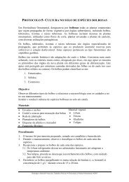 Protocolo em .pdf - Domingos Almeida