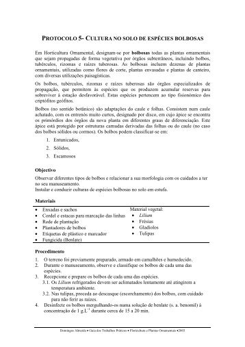 Protocolo em .pdf - Domingos Almeida