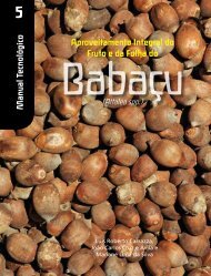 Clique aqui e acesse o manual tecnológico do Babaçu - ISPN