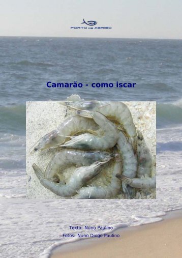 Camarão - como iscar - Porto de Abrigo