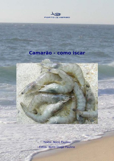 Camarão - como iscar - Porto de Abrigo