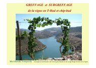 GREFFAGE et SURGREFFAGE de la vigne en T-Bud et chip ... - advid