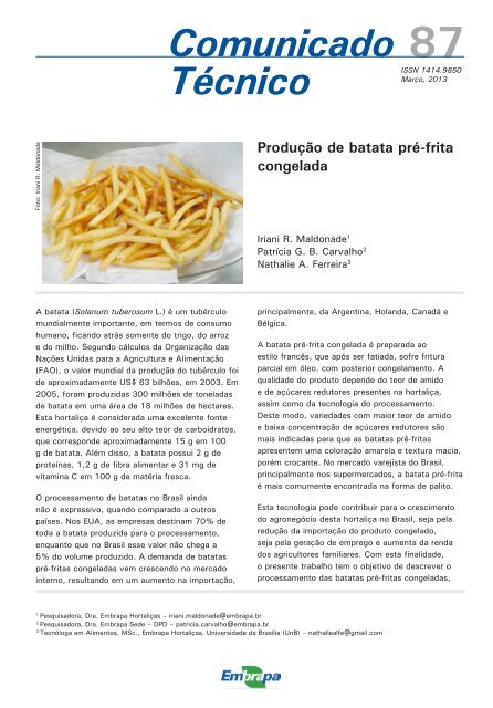 Batata Pré Frita Congelada - To Go