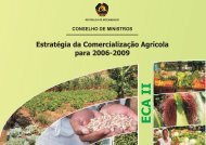 Estratégia de Comercialização Agrícola para 2006-2009