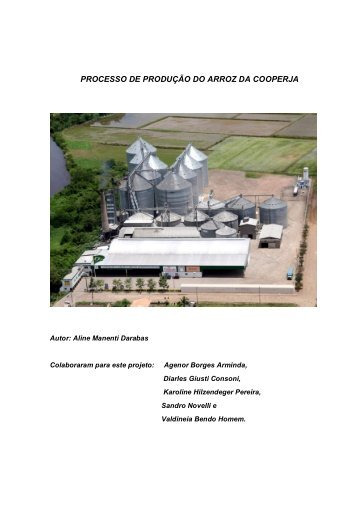 PROCESSO DE PRODUÇÃO DO ARROZ DA COOPERJA