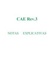 Notas Explicativas CAE REV.3