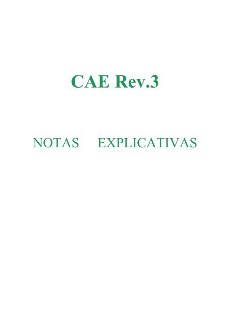 Notas Explicativas CAE REV.3