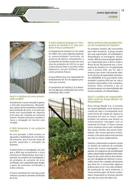 Revista AJAP n.º 80