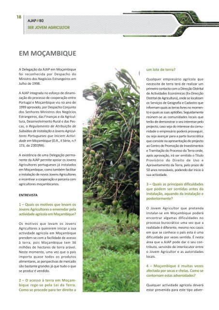 Revista AJAP n.º 80