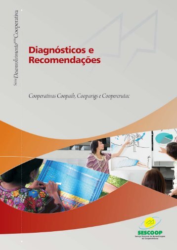 RELATORIO DE DIAGNOSTICO_vale este.p65 - OCB